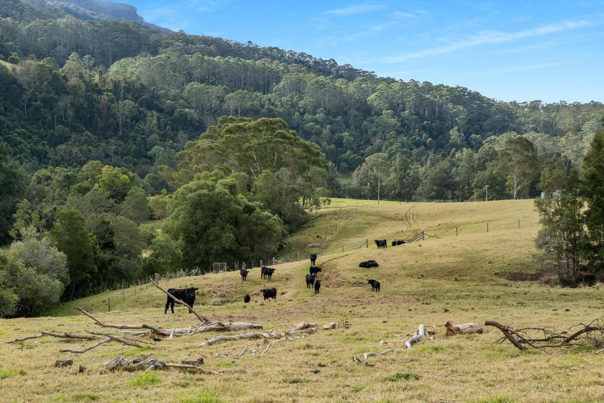 Ryders Creek Villa Kangaroo Valley Exterior photo